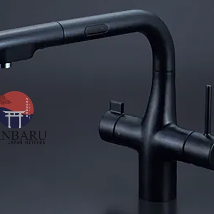 Vòi rửa bát KVK KM6121ECM4