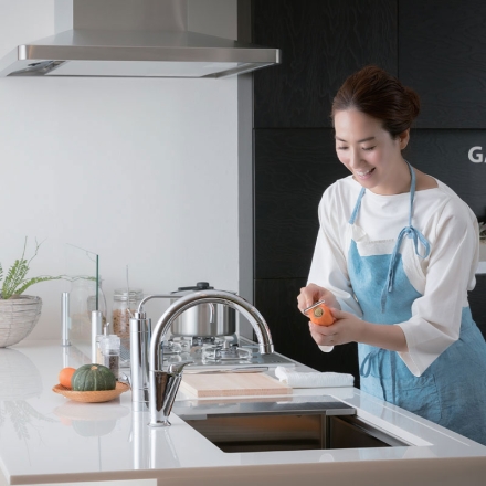 JSN-K 3F FS Chậu rửa bát 1 hố xả SHIGERU